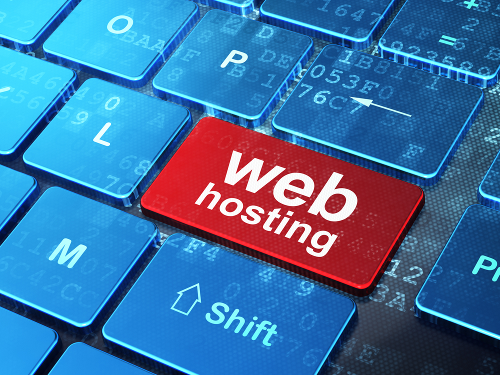 Domain Hosting